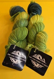 2 Arcane Fibre Works~Wondering Thru The Woods~Chunky 100% SW Merino 109 Yds NEW - Picture 1 of 8