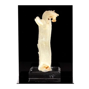 Minéraux et pierres précieuses. Gypse. 511.5 ct. Bou Beker, Jerada Province, Ma - Bild 1 von 4