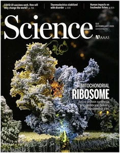 Science Magazine: Mitochondrial Ribosome (19 February 2021) - Picture 1 of 1