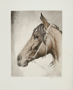 FRITZ NEUMANN (TAMBIÉN CONOCIDO COMO RIC) FIRMADO DE COLECCIÓN XRare década de 1960 grabado de caballo mirando a la izquierda - Imagen 1 de 8