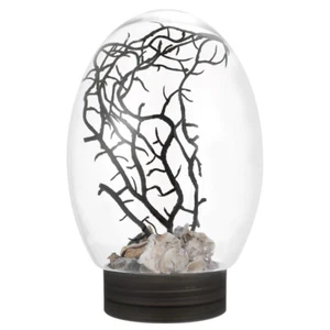 LED Lighting Mini Aquarium Desktop Plastic Mini Ecosphere Tank