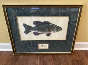 Dan Mitra Signed Numbered Limited Edition Smallmouth Bass Print Framed 30”x24” - Picture 1 of 12