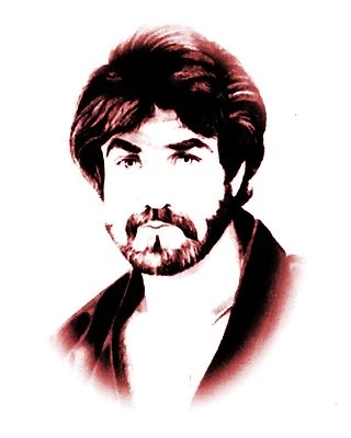 BUNKAI of PINAN 1-5 (heian) Karate Kata Forms DVD Juchnik MITOSE KARATE st30 - Image 1 of 4