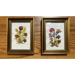 Vintage Wall Art Pressed Flowers Framed Floralp Tyrol Austria Small Art MCM - Picture 1 of 12
