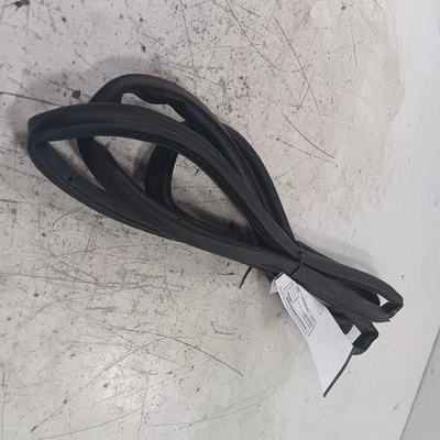 Hyundai Elantra On Door Seal Rubber Right Passenger Front  2017 2018 2019 2020 - Image 1 of 4
