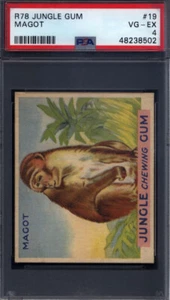 1930 R78 Jungle Gum #19 Magot PSA 4 - Picture 1 of 2