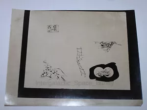 Prototipo Hasbro Gijoe de 12" Línea Interna 1960-1970 Fotografía de Arte Fotografía #1 - Imagen 1 de 1