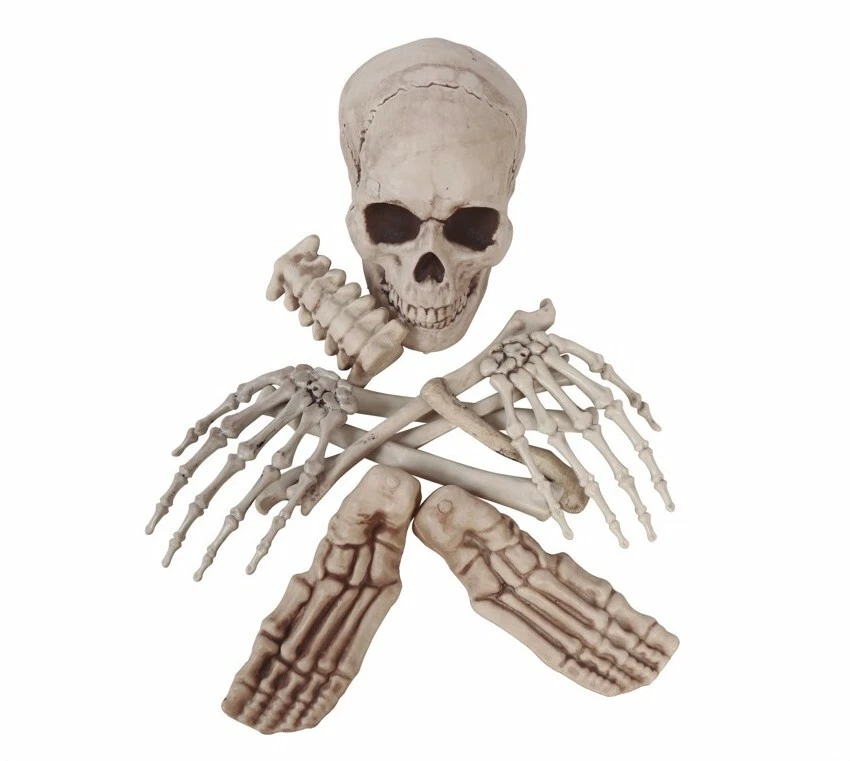 12 Halloween Scattered Bones Skull Decoration Skeleton Party Decor Garden Props - Image 1 of 1