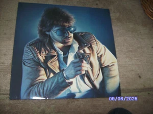 Peter Maffay - Sonne in der Nacht - Vinyl Langspielplatte - Bild 1 von 2
