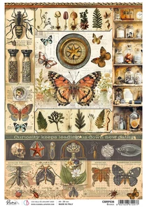 Ciao Bella A4 Rice Papers 5pc - Science, CBRP536 - Picture 1 of 1