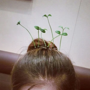 5Pcs Funny Plant Hairpin Flower Butterfly Sprout Hair Clips For Kids Girls Wo*PW - Picture 1 of 25