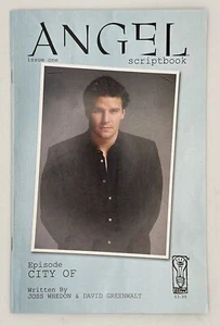 ANGEL SCRIPTBOOK (IDW) (SCRIPT BOOK) (2006 Series) #1 PHOTO Comic - Picture 1 of 6