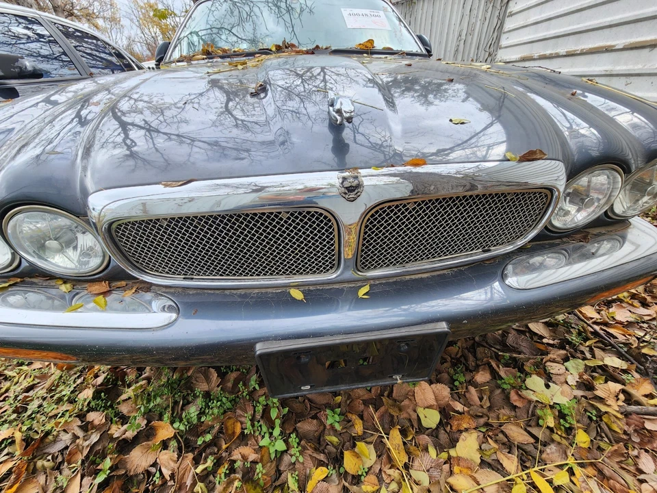 1998 1999 2000 2001 2002 2003 Jaguar XJ8 XJ8L VANDEN PLAS REJILLA MALLA CROMADA Foto 1 de 1