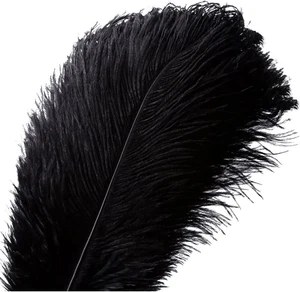20Pcs Natural Ostrich Feathers Plume - 10-12Inch(25-30Cm) for Wedding Centerpiec - Picture 1 of 6