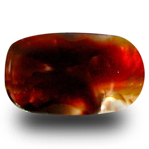 8.02 ct First-class Fancy Cut (16 x 10 mm) Un-Heated Multi Color Fire Agate - Picture 1 of 1