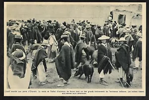 1954 -- EQUATEUR L ACTIF MARCHE AUX PORCS D OTAVALO 3S701 - Bild 1 von 1