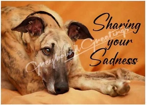 Sharing Your Sadness Greyhound Dog Sympathy Cards, set of 4, with envelopes - Picture 1 of 3