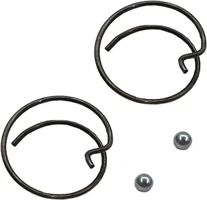 2 Packs N078434 N089668 Spring and Steel Ball Fit DCF885 DCF886 DCF887 DCF840 D - Picture 1 of 7
