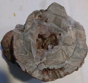 Geode Kristalle in Pilz Rhyolith Unikat - Bild 1 von 9