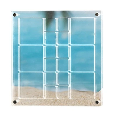 2X(Magnetische Muschel-Präsentationsbox, Muschel-Aufbewahrungsbox, Dekorati9770 - Bild 1 von 4