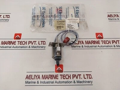 Interruptor completo Electrolux 0KI513 300/500V Foto 1 de 4