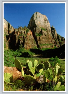Postal del Parque Nacional Zion - Gran Trono Blanco y Vista de Cactus - John Wagner - Imagen 1 de 2