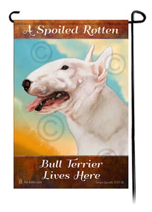 A Spoiled Rotten White Bull Terrier Lives Here - Picture 1 of 1