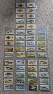 John Player Sons Cigarettes Card Set , Sea Fishes , X50 Complete Set - Picture 1 of 6