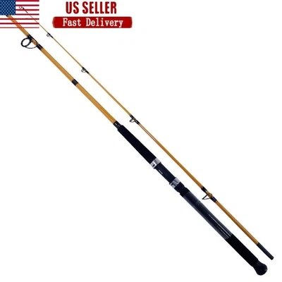 Caña de pescar surf de 10 pies 2 piezas potencia media acción rápida fibra de vidrio guías duraderas nueva Foto 1 de 4