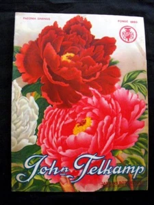 John Telkamp Katalog Botanischer Garten Holland 30er Jahre Pfingstrosen Rosen - Bild 1 von 6