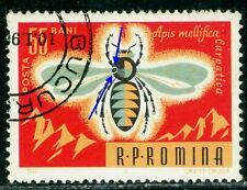 1963 Romanian Honey bee/Apis mellifera Carpatica,Romania,2217Eclipse/Error,VFU/3