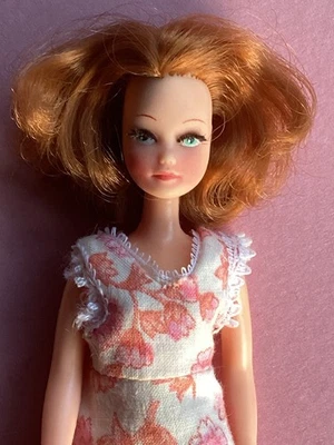 Bambola vintage Palitoy Pippa splendida penny capelli rossi + vestito, scarpe - Immagine 1 di 4