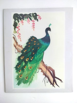 Arte vintage asiático de paja de trigo pavo real floral República de China sin marco 9 X 11 Foto 1 de 3