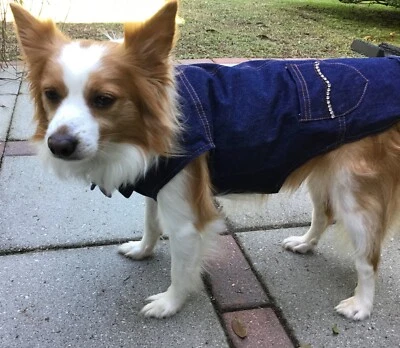 EAST SIDE COLLECTION East Side Denim Blue Jean Heart-Studded Dog Dress Sz M