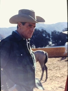 ROCK HUDSON in "Dynasty" - Original Vintage 35mm PORTRAIT Slide - 1985 - Picture 1 of 2