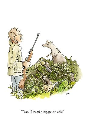 FARM COTTAGE BRANDS "Think I need a bigger air rifle" shooting birthday greeting card - blank inside