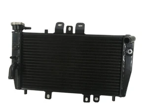 Do Triumph Speed Triple 955i 2002 2203 czarny aluminiowy grzejnik wyścigowy - Zdjęcie 1 z 8