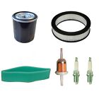 Tractor Repair Kit Filter 420 For Onan Engine 316 Plugs Fuel Filter