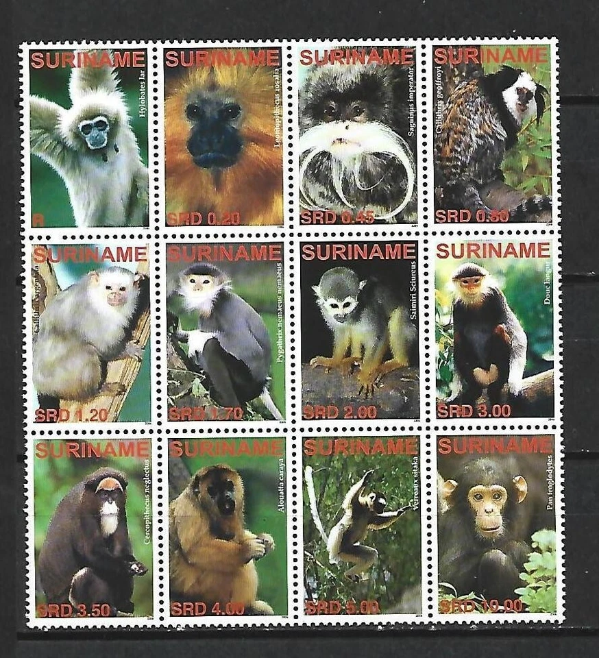 SURINAME. Año: 2006. Tema: FAUNA. MONOS. - Imagen 1 de 1
