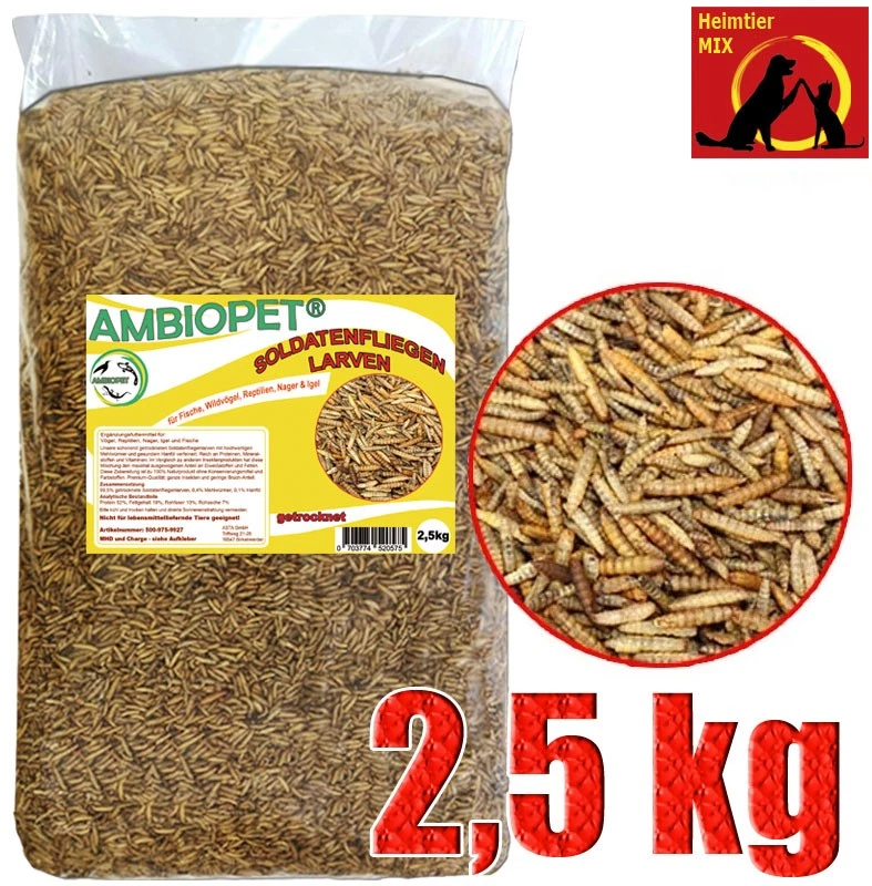 Hermetia Larven Soldatenfliegenlarven 2,5 kg wie Mehlwürmer Koi Vögel Reptilien - Bild 1 von 1