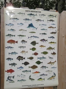 Vintage Scandinavian Fishing Year Book North American Fish Poster - Picture 1 of 8