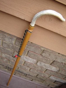 handmade golden turned OAK taper Mule DEER ANTLER handle CANE/walking-stick~gift - Picture 1 of 7