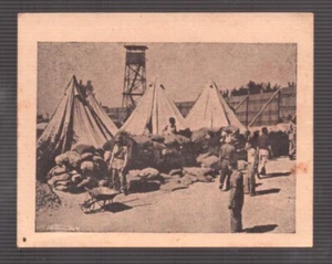 Judaica ! Kibbutz Hanita Card, Pelstine Album Photo Cards - Picture 1 of 2