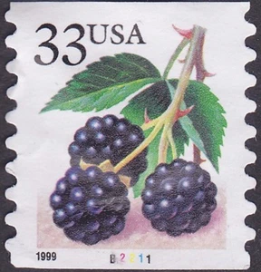 US Stamp Scott # 3304 Used Plate Number B2211 Single 33 Cents Blackberries Issue - Picture 1 of 1