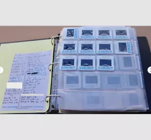 550 Movie Press Promo Film Dia Sieben Arten Schweigen der Lämmer Wes Craven - Bild 1 von 23