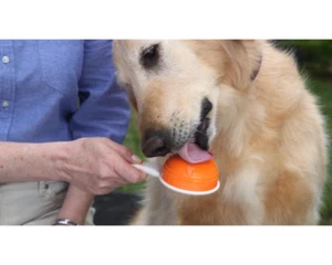 NEW Pooch Smooch Dental Chew Brush Dog & Cat Oral Care Pet Bad Breath Eliminator - Picture 1 of 3