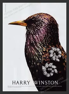 Pubblicità stampa Harry Winston anni 2000 2007 gioielli uccellino stellato bellissima - Foto 1 di 1