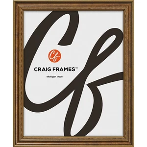 Stratton, Cornice portafoto in bronzo ornato 0,75", dimensioni comuni 4x5 - 24x36 - Foto 1 di 8