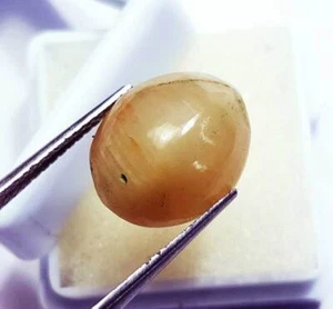 Piedras preciosas sueltas forma ovalada 100 % natural ojo de gato 9,65 quilates certificadas - Imagen 1 de 6