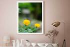 Flowers Blooming Garden Scenery Print Premium Poster High Quality choose sizes